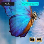 ویدئو پروژکتور ونبو مدل WANBO TT3